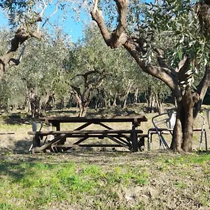 agriturismo-cele.hotelitalianriviera.com/